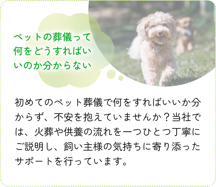 ペットの葬儀って何をどうすればいいのか分からない