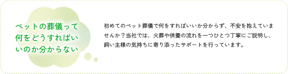 ペットの葬儀って何をどうすればいいのか分からない